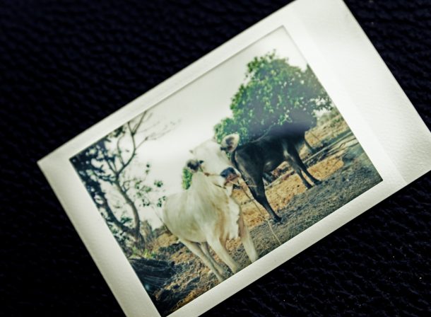 Kambodscha Polaroid